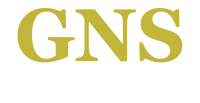 GNS logo footer GNS logo footer
